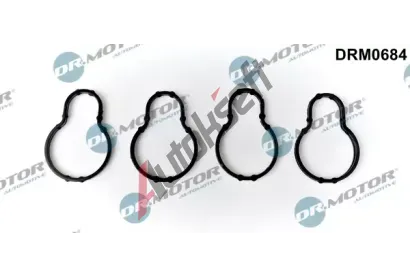 Dr.Motor Automotive Těsnění kolena sacího potrubí DMA DRM0684, DRM0684 Dr.Motor Automotive Těsnění kolena sacího potrubí DMA DRM0684, DRM0684
