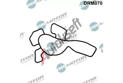 Dr.Motor Automotive Těsnění vodního čerpadla DMA DRM070, DRM070 Dr.Motor Automotive Těsnění vodního čerpadla DMA DRM070, DRM070