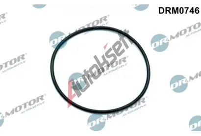 Dr.Motor Automotive Tsnn vakuovho erpadla DMA DRM0746, DRM0746