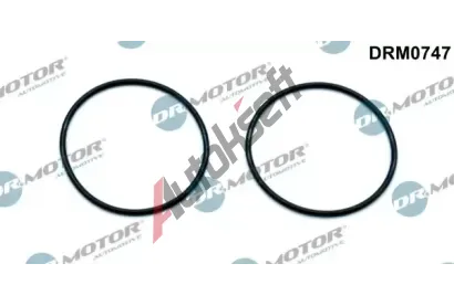 Dr.Motor Automotive Těsnění vakuového čerpadla DMA DRM0747, DRM0747 Dr.Motor Automotive Těsnění vakuového čerpadla DMA DRM0747, DRM0747