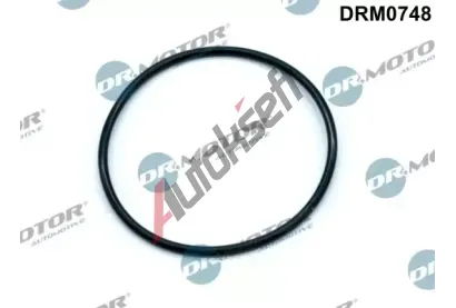 Dr.Motor Automotive Těsnění vakuového čerpadla DMA DRM0748, DRM0748 Dr.Motor Automotive Těsnění vakuového čerpadla DMA DRM0748, DRM0748