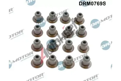Dr.Motor Automotive Sada tsnn dku ventilu DMA DRM0769S, DRM0769S
