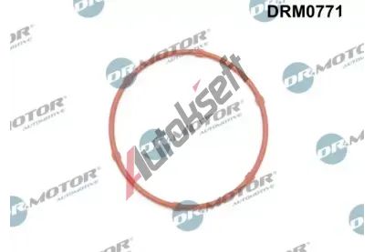 Dr.Motor Automotive Tsnn olejovho erpadla DMA DRM0771, DRM0771