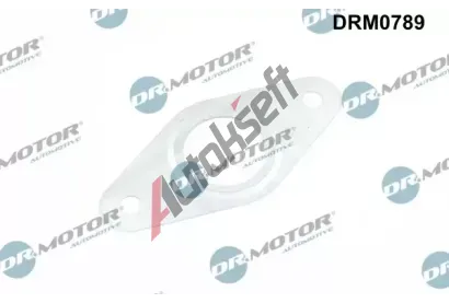 Dr.Motor Automotive Tsnn veden AGR ventilu DMA DRM0789, DRM0789