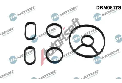 Dr.Motor Automotive Sada tsnn chladie oleje DMA DRM0817S, DRM0817S