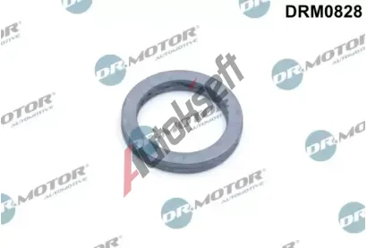 Dr.Motor Automotive Těsnění olejového čerpadla DMA DRM0828, DRM0828 Dr.Motor Automotive Těsnění olejového čerpadla DMA DRM0828, DRM0828