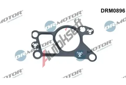 Dr.Motor Automotive Tsnn AGR ventilu DMA DRM0896, DRM0896