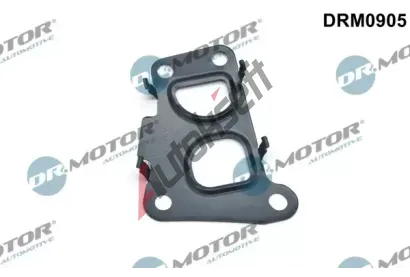 Dr.Motor Automotive Tsnn AGR ventilu DMA DRM0905, DRM0905