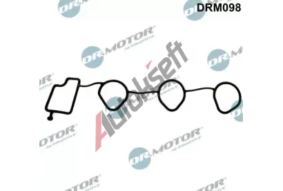 Dr.Motor Automotive Těsnění kolena sacího potrubí DMA DRM098, DRM098 Dr.Motor Automotive Těsnění kolena sacího potrubí DMA DRM098, DRM098