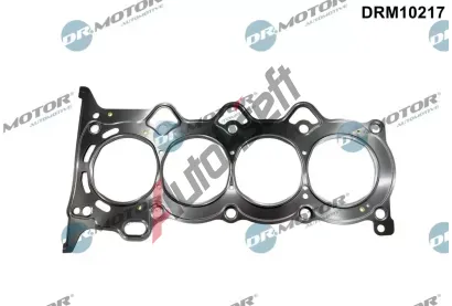 Dr.Motor Automotive Tsnn hlavy vlce DMA DRM10217, DRM10217