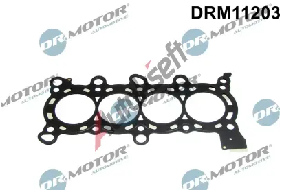 Dr.Motor Automotive Tsnn hlavy vlce DMA DRM11203, DRM11203