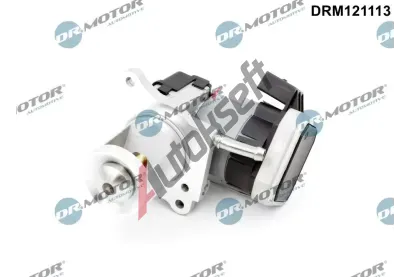 Dr.Motor Automotive AGR ventil DMA DRM121113, DRM121113