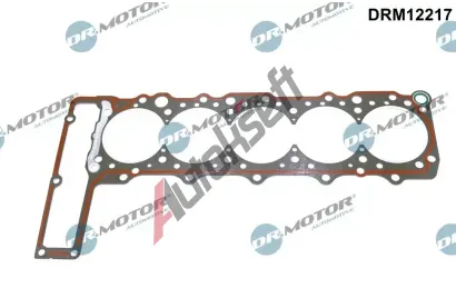 Dr.Motor Automotive Tsnn hlavy vlce DMA DRM12217, DRM12217