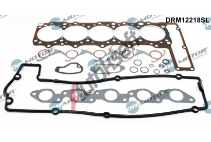 Dr.Motor Automotive Sada t�sn�n� hlavy v�lce DMA DRM12218SL, DRM12218SL