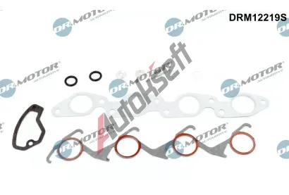 Dr.Motor Automotive Kompletní sada těsnění motoru DMA DRM12219S, DRM12219S Dr.Motor Automotive Kompletní sada těsnění motoru DMA DRM12219S, DRM12219S