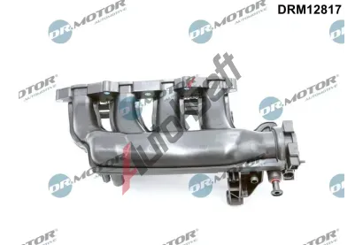 Dr.Motor Automotive Sací trubkový modul DMA DRM12817, DRM12817 Dr.Motor Automotive Sací trubkový modul DMA DRM12817, DRM12817