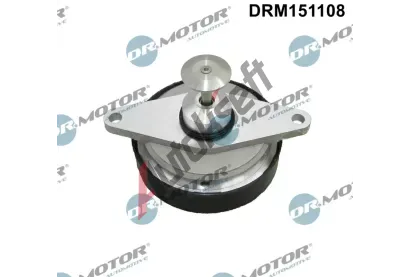 Dr.Motor Automotive AGR ventil DMA DRM151108, DRM151108