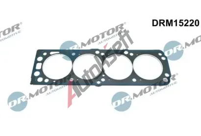 Dr.Motor Automotive Tsnn hlavy vlce DMA DRM15220, DRM15220