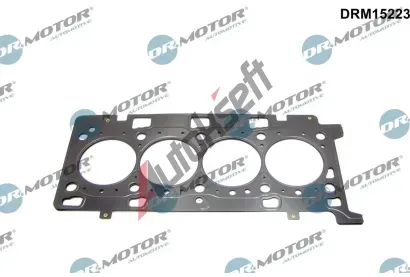 Dr.Motor Automotive Tsnn hlavy vlce DMA DRM15223, DRM15223