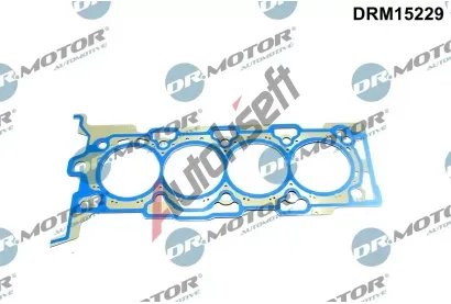 Dr.Motor Automotive Tsnn hlavy vlce DMA DRM15229, DRM15229