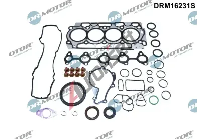 Dr.Motor Automotive Kompletn sada tsnn motoru DMA DRM16231S, DRM16231S