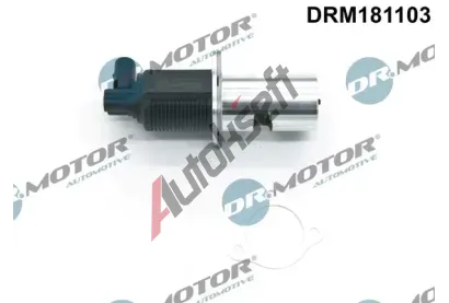 Dr.Motor Automotive AGR ventil DMA DRM181103, DRM181103