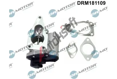 Dr.Motor Automotive AGR ventil DMA DRM181109, DRM181109 Dr.Motor Automotive AGR ventil DMA DRM181109, DRM181109