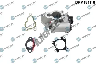 Dr.Motor Automotive AGR ventil DMA DRM181110, DRM181110