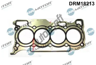 Dr.Motor Automotive T�sn�n� hlavy v�lce DMA DRM18213, DRM18213