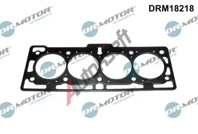 Dr.Motor Automotive Tsnn hlavy vlce DMA DRM18218, DRM18218