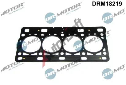 Dr.Motor Automotive Tsnn hlavy vlce DMA DRM18219, DRM18219
