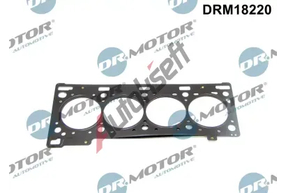 Dr.Motor Automotive Tsnn hlavy vlce DMA DRM18220, DRM18220