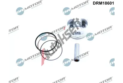Dr.Motor Automotive Pst DMA DRM18601, DRM18601