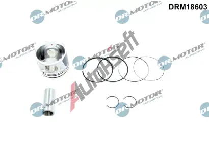 Dr.Motor Automotive Pst DMA DRM18603, DRM18603