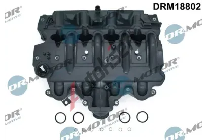 Dr.Motor Automotive Kryt hlavy vlce DMA DRM18802, DRM18802