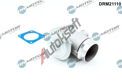 Dr.Motor Automotive AGR ventil DMA DRM21110, DRM21110
