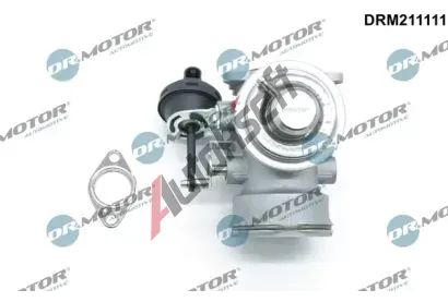Dr.Motor Automotive AGR ventil DMA DRM211111, DRM211111