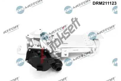 Dr.Motor Automotive AGR ventil DMA DRM211123, DRM211123