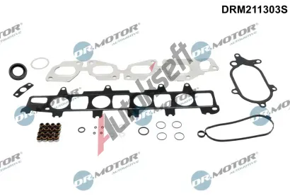 Dr.Motor Automotive Sada tsnn hlavy vlce DMA DRM211303S, DRM211303S