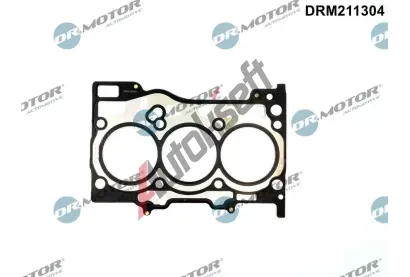 Dr.Motor Automotive Tsnn hlavy vlce DMA DRM211304, DRM211304