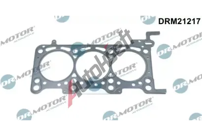 Dr.Motor Automotive Tsnn hlavy vlce DMA DRM21217, DRM21217