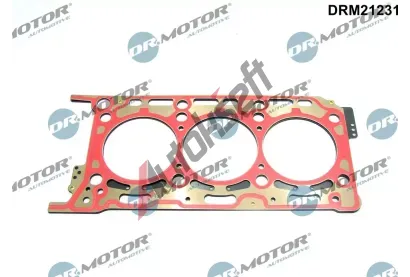 Dr.Motor Automotive Tsnn hlavy vlce DMA DRM21231, DRM21231