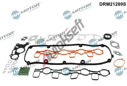 Dr.Motor Automotive Kompletn sada tsnn motoru DMA DRM21289S, DRM21289S