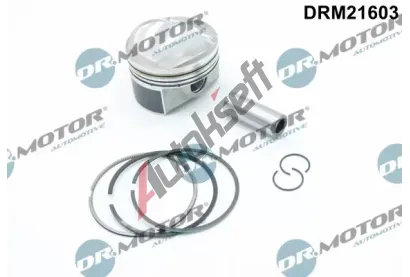 Dr.Motor Automotive Píst DMA DRM21603, DRM21603 Dr.Motor Automotive Píst DMA DRM21603, DRM21603