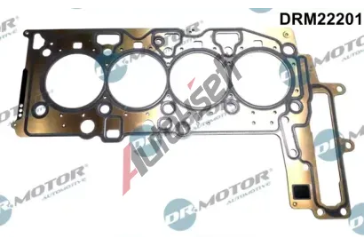 Dr.Motor Automotive Tsnn hlavy vlce DMA DRM22201, DRM22201