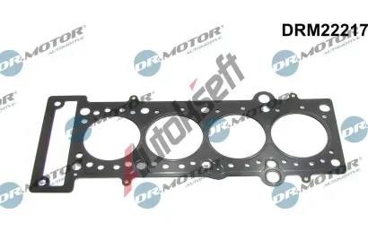 Dr.Motor Automotive Tsnn hlavy vlce DMA DRM22217, DRM22217
