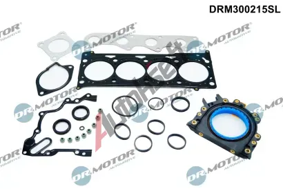 Dr.Motor Automotive Sada tsnn hlavy vlce DMA DRM300215SL, DRM300215SL