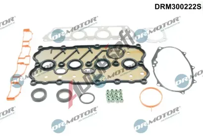Dr.Motor Automotive Sada tsnn hlavy vlce DMA DRM300222S, DRM300222S