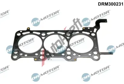 Dr.Motor Automotive Tsnn hlavy vlce DMA DRM300231, DRM300231