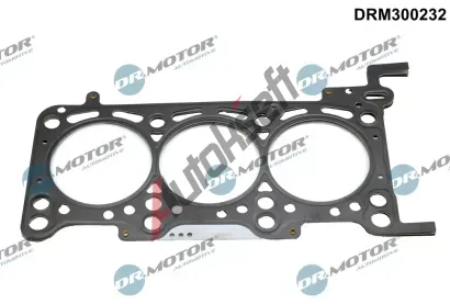 Dr.Motor Automotive Tsnn hlavy vlce DMA DRM300232, DRM300232